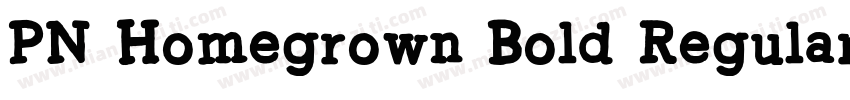 PN Homegrown Bold Regular字体转换